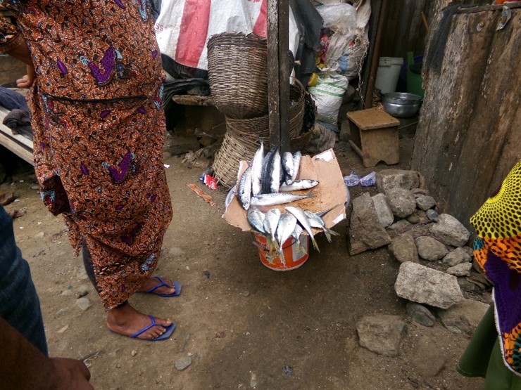 Woman hawking frozen fish purchased from the local cold store in Apam